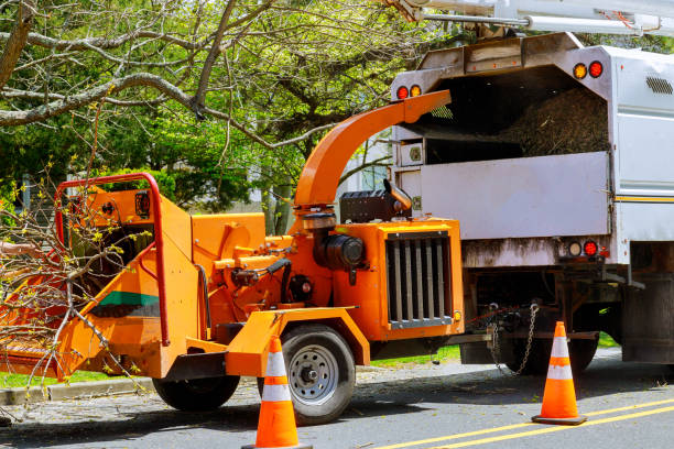 Best Lot and Land Clearing  in Highland Falls, NY